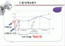 탄성계수에 대하여 3페이지