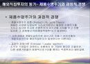 해외 직접투자 발표 11페이지
