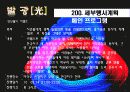 축제이벤트론 레포트 A+ (빛축제-발광[光] light축제기획서 ppt발표용)  23페이지