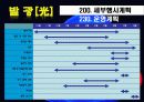 축제이벤트론 레포트 A+ (빛축제-발광[光] light축제기획서 ppt발표용)  31페이지