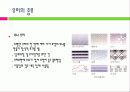 유리(glass)의 특성과 건축에서의 반영 6페이지