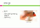 유리(glass)의 특성과 건축에서의 반영 7페이지