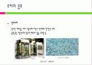 유리(glass)의 특성과 건축에서의 반영 14페이지