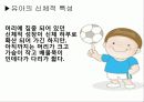 운동발달  13페이지