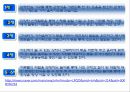 운동발달  17페이지