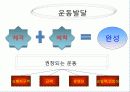 운동발달  35페이지