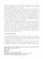 미국 법률구조제도의 특성 및 문제점 20페이지
