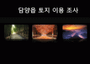 담양읍 토지이용조사 1페이지