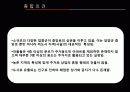담양읍 토지이용조사 21페이지