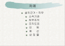 문화체육관광부,+문화재청 2페이지