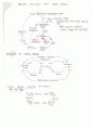 관동대 의학과 생리학 5차 서술형 정리 10페이지