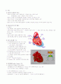 심장의 구조와 심장의 기능 2페이지