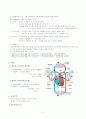 심장의 구조와 심장의 기능 3페이지
