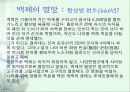 백제의 조직과 문화 12페이지