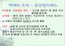 백제의 조직과 문화 17페이지