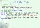 백제의 조직과 문화 33페이지
