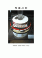 전자기유도현상을 응용한 자이로 드롭 10페이지