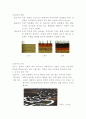 학습지도안 - 지표의 변화 51페이지