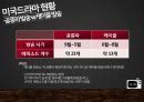 america presentation 13페이지