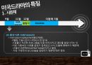 america presentation 19페이지