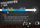 america presentation 20페이지