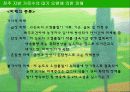 전주 지방 가로수의 대기 오염에 의한 피해 6페이지