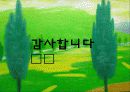 전주 지방 가로수의 대기 오염에 의한 피해 13페이지