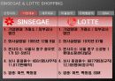 재무제표분석(신세계롯데쇼핑2009) 10페이지