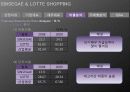 재무제표분석(신세계롯데쇼핑2009) 15페이지