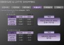 재무제표분석(신세계롯데쇼핑2009) 16페이지