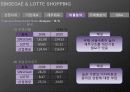 재무제표분석(신세계롯데쇼핑2009) 17페이지