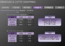 재무제표분석(신세계롯데쇼핑2009) 23페이지