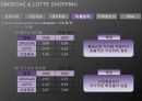 재무제표분석(신세계롯데쇼핑2009) 25페이지