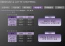 재무제표분석(신세계롯데쇼핑2009) 28페이지