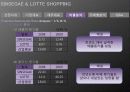 재무제표분석(신세계롯데쇼핑2009) 29페이지