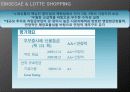 재무제표분석(신세계롯데쇼핑2009) 37페이지