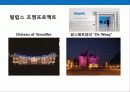 유럽 최대의 전자그룹 필립스의 경영전략 17페이지
