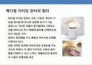 유럽 최대의 전자그룹 필립스의 경영전략 21페이지