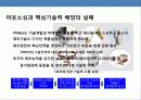 유럽 최대의 전자그룹 필립스의 경영전략 31페이지
