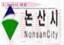 논산시 금산군 재정 비교 3페이지