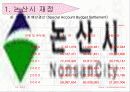논산시 금산군 재정 비교 5페이지