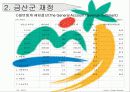 논산시 금산군 재정 비교 6페이지