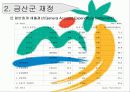 논산시 금산군 재정 비교 7페이지