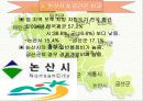 논산시 금산군 재정 비교 18페이지