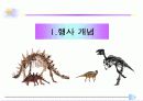 화석전시기획서 3페이지