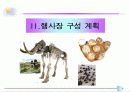 화석전시기획서 8페이지