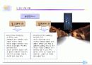 화석전시기획서 12페이지