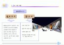 화석전시기획서 14페이지