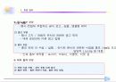 화석전시기획서 35페이지