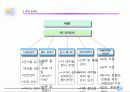 화석전시기획서 37페이지